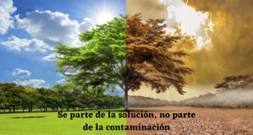 medio ambiente (1) en español